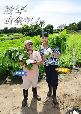 大集烟火气生活综艺免费在线看